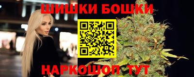 2c-b Камышлов