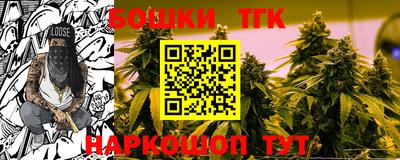 2c-b Камышлов